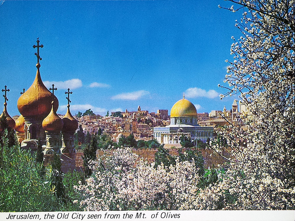 (image for) postcard Israel #0010